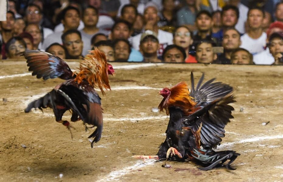 Chế Độ Dinh Dưỡng: "Ăn Sạch" Để "Chắc" Chứ Không "Béo"