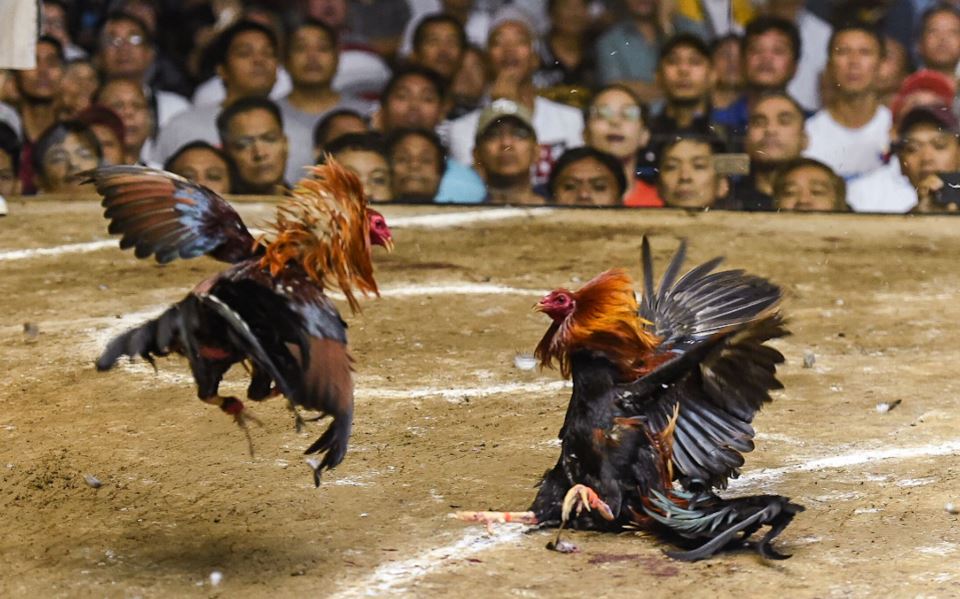 Chế Độ Dinh Dưỡng: "Ăn Sạch" Để "Chắc" Chứ Không "Béo"