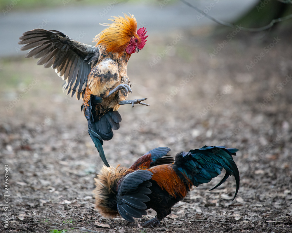 "Dưỡng Lực" - Dinh Dưỡng & Om Bóp (6-9 tháng)