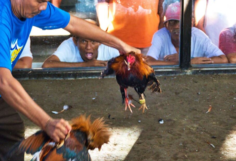 Chế Độ Tập Luyện & Om Bóp: "Văn Ôn Võ Luyện"