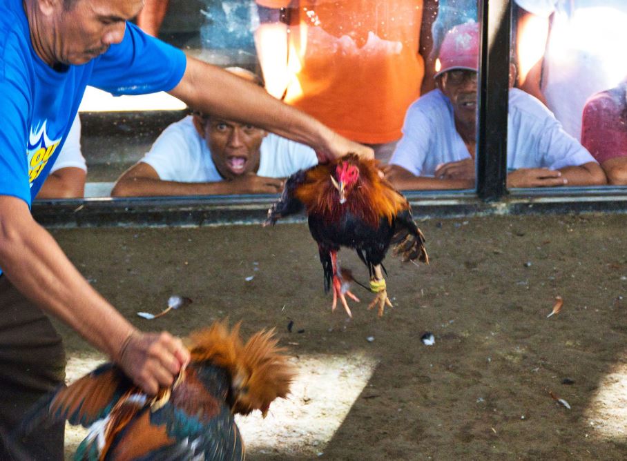 Chế Độ Tập Luyện & Om Bóp: "Văn Ôn Võ Luyện"