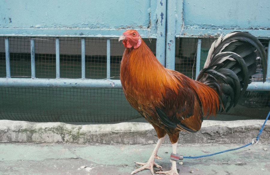 Kiến Thức Nền Tảng Cho Người Mới Bắt Đầu