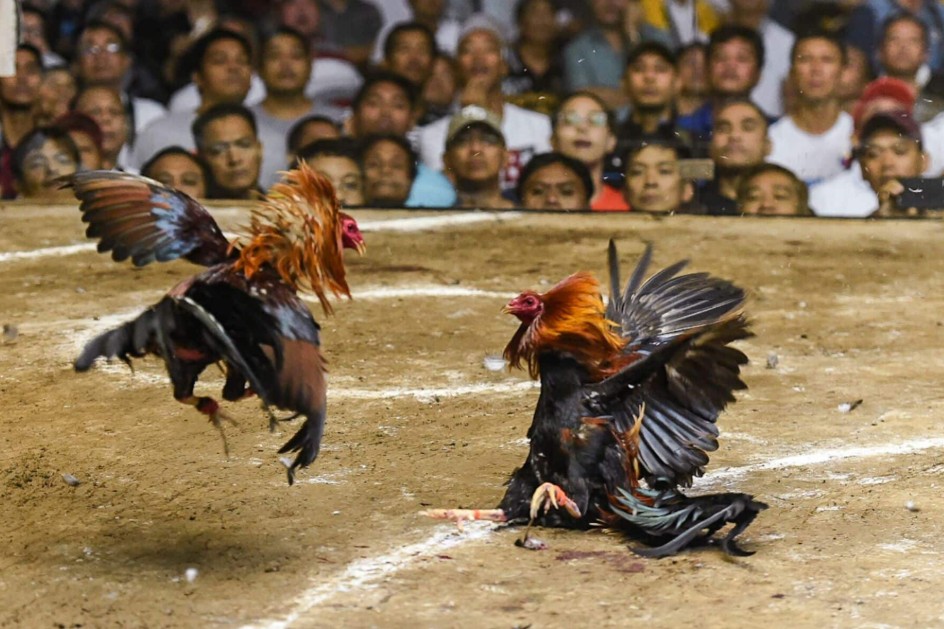 Chế Độ Luyện Tập: Kích Thích Tuần Hoàn Máu