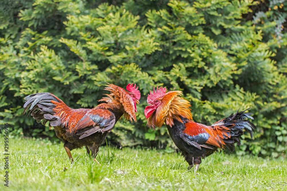 Chăm Sóc Sau Điều Trị & Lời Khuyên Của Trang chủ Bj38